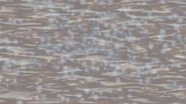 Yaratıcı video düzenleme film arkaplan tasarımı için minimalist organik hareket grafikleri