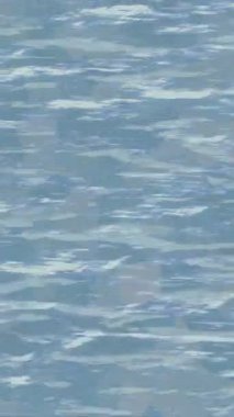 Benzersiz dijital hareket grafiklerine sahip yaratıcı sinematik projeler için yumuşak animasyon yüzeyi