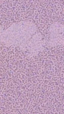 Soyut hareket desenli fütüristik video üretimi için dinamik dijital arkaplan