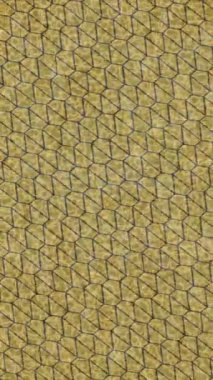 Benzersiz dijital hareket grafiklerine sahip yaratıcı sinematik projeler için yumuşak animasyon yüzeyi