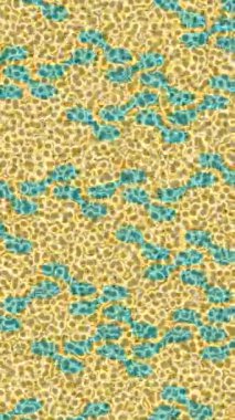 Benzersiz hareket dokusu tasarım sanatı ile profesyonel video düzenleme için modern soyut grafikler