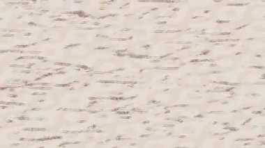 Organik desenli yüzey giriş stili video film sanatı ile soyut arkaplan tasarımı