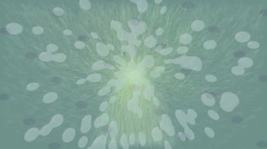 Benzersiz dijital hareket grafiklerine sahip yaratıcı sinematik projeler için yumuşak animasyon yüzeyi