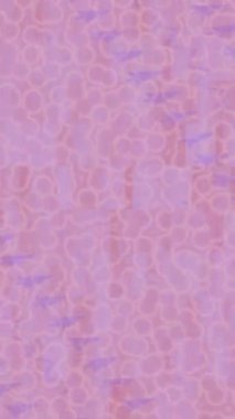 Yaratıcı video düzenleme film arkaplan tasarımı için minimalist organik hareket grafikleri