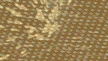 Lüks hareket tasarımı üst düzey video projeleri ve dijital sanat için zarif, pürüzsüz bir dokusu var.