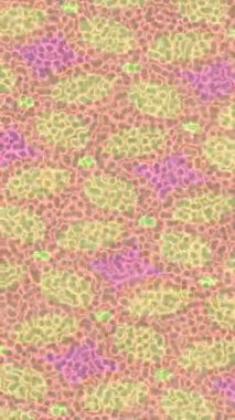 Soyut hareket desenli fütüristik video üretimi için dinamik dijital arkaplan