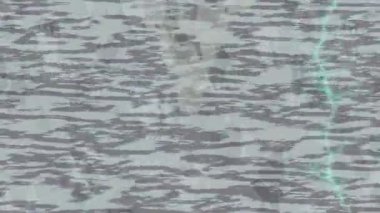 Benzersiz dijital hareket grafiklerine sahip yaratıcı sinematik projeler için yumuşak animasyon yüzeyi