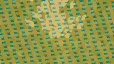 Organik desenli yüzey giriş stili video film sanatı ile soyut arkaplan tasarımı