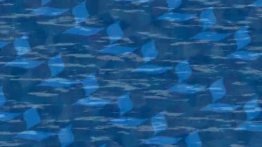 Yaratıcı video düzenleme film tasarımı için benzersiz hareket grafikleri biçimi giriş hareketi video pro