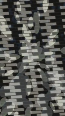 Benzersiz video giriş tasarımı projeleri için detaylı yüzey kalıbı film animasyon stili grafik girişi