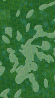 Dijital doku yüzey tasarım biçimi ile modern video animasyonu için gelişmiş hareket grafikleri