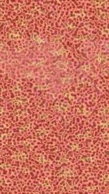 Benzersiz dijital animasyon tarzı grafikleri olan yaratıcı ortam tasarımı için yenilikçi hareket dokusu