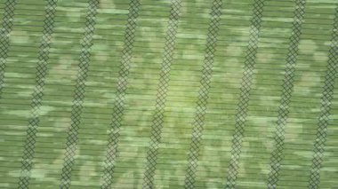 Profesyonel video projeleri sanat tarzı için organik hareketli arkaplan tasarımı