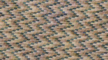 Organik desenli yüzey giriş stili video film sanatı ile soyut arkaplan tasarımı