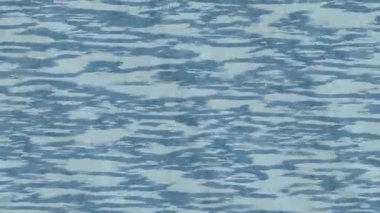 Yaratıcı video düzenleme film arkaplan tasarımı için minimalist organik hareket grafikleri