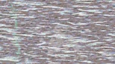 Lüks hareket projeleri için soyut tasarım stili animasyonu olan üst düzey dijital doku