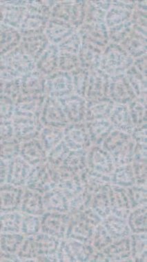 Estetik doku arkaplan tasarımı renkli hareket grafikleri ile moda film giriş profosyoneli