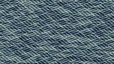 Profesyonel video projeleri sanat tarzı için organik hareketli arkaplan tasarımı