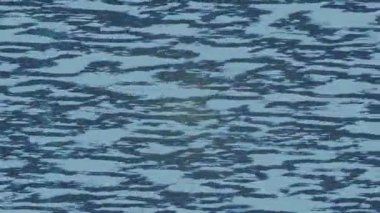 Yaratıcı video düzenleme film tasarımı için benzersiz hareket grafikleri biçimi giriş hareketi video pro