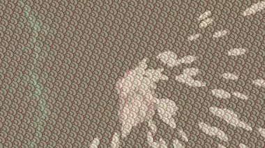 Benzersiz dijital hareket grafiklerine sahip yaratıcı sinematik projeler için yumuşak animasyon yüzeyi