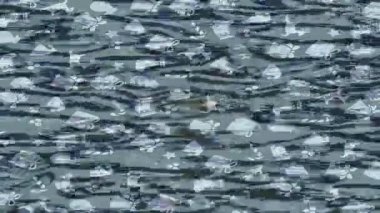 Benzersiz hareket dokusu tasarım sanatı ile profesyonel video düzenleme için modern soyut grafikler