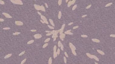 Benzersiz dijital hareket grafiklerine sahip yaratıcı sinematik projeler için yumuşak animasyon yüzeyi