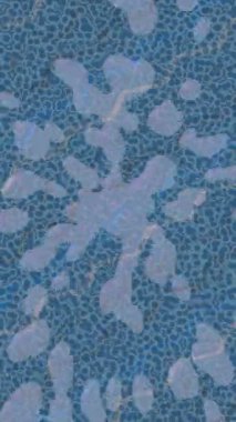 Yaratıcı video düzenleme film arkaplan tasarımı için minimalist organik hareket grafikleri