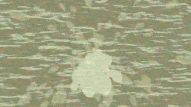 Dijital doku yüzey tasarım biçimi ile modern video animasyonu için gelişmiş hareket grafikleri