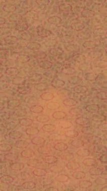 Lüks hareket projeleri için soyut tasarım stili animasyonu olan üst düzey dijital doku