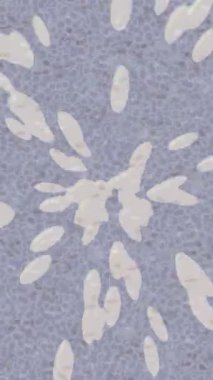 Lüks hareket projeleri için soyut tasarım stili animasyonu olan üst düzey dijital doku