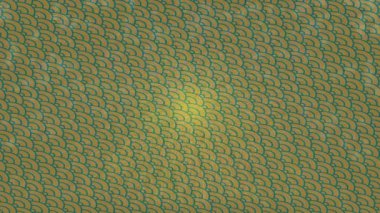 Organik desenli yüzey giriş stili video film sanatı ile soyut arkaplan tasarımı