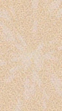 Benzersiz dijital hareket grafiklerine sahip yaratıcı sinematik projeler için yumuşak animasyon yüzeyi