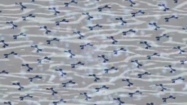 Dijital doku yüzey tasarım biçimi ile modern video animasyonu için gelişmiş hareket grafikleri