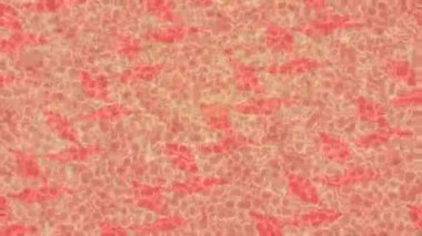 Dijital doku yüzey tasarım biçimi ile modern video animasyonu için gelişmiş hareket grafikleri