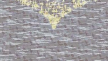 Yaratıcı video düzenleme film tasarımı için benzersiz hareket grafikleri biçimi giriş hareketi video pro