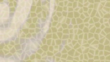 Benzersiz dijital hareket grafiklerine sahip yaratıcı sinematik projeler için yumuşak animasyon yüzeyi