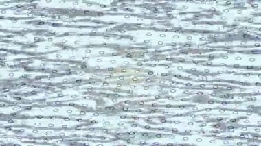 Benzersiz dijital animasyon tarzı grafikleri olan yaratıcı ortam tasarımı için yenilikçi hareket dokusu