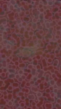 Benzersiz video giriş tasarımı projeleri için detaylı yüzey kalıbı film animasyon stili grafik girişi