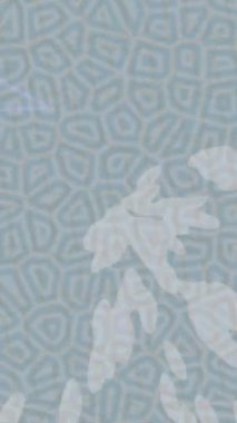 Estetik doku arkaplan tasarımı renkli hareket grafikleri ile moda film giriş profosyoneli