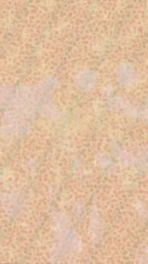 Benzersiz hareket grafikleri tasarım sanatına sahip yaratıcı film üretimi için özet bir arkaplan