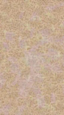 Lüks hareket tasarımı üst düzey video projeleri ve dijital sanat için zarif, pürüzsüz bir dokusu var.