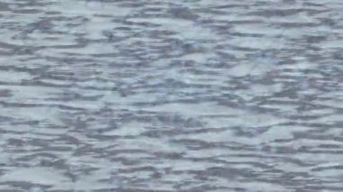 Lüks hareket projeleri için soyut tasarım stili animasyonu olan üst düzey dijital doku