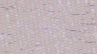 Dijital doku yüzey tasarım biçimi ile modern video animasyonu için gelişmiş hareket grafikleri