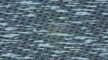 Lüks hareket tasarımı üst düzey video projeleri ve dijital sanat için zarif, pürüzsüz bir dokusu var.