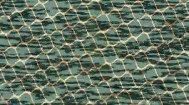 Profesyonel video projeleri sanat tarzı için organik hareketli arkaplan tasarımı