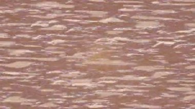 Estetik doku arkaplan tasarımı renkli hareket grafikleri ile moda film giriş profosyoneli