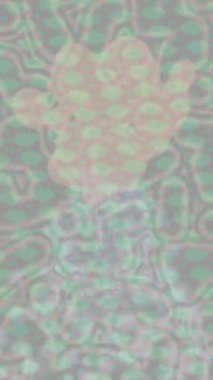 Benzersiz dijital hareket grafiklerine sahip yaratıcı sinematik projeler için yumuşak animasyon yüzeyi