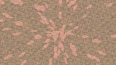 Yaratıcı video düzenleme film arkaplan tasarımı için minimalist organik hareket grafikleri