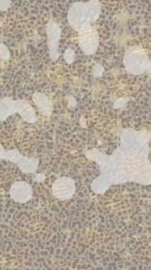 Yaratıcı video düzenleme film arkaplan tasarımı için minimalist organik hareket grafikleri