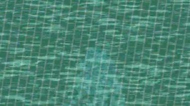 Profesyonel video projeleri sanat tarzı için organik hareketli arkaplan tasarımı